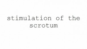 Masturbation Techniques for Men. Stimulation of the Scrotum.