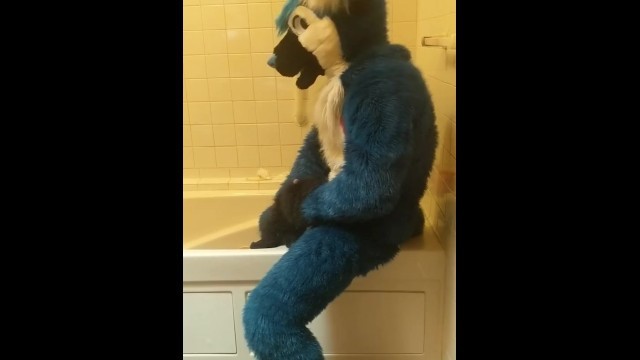 Blue Fox on a Didlo